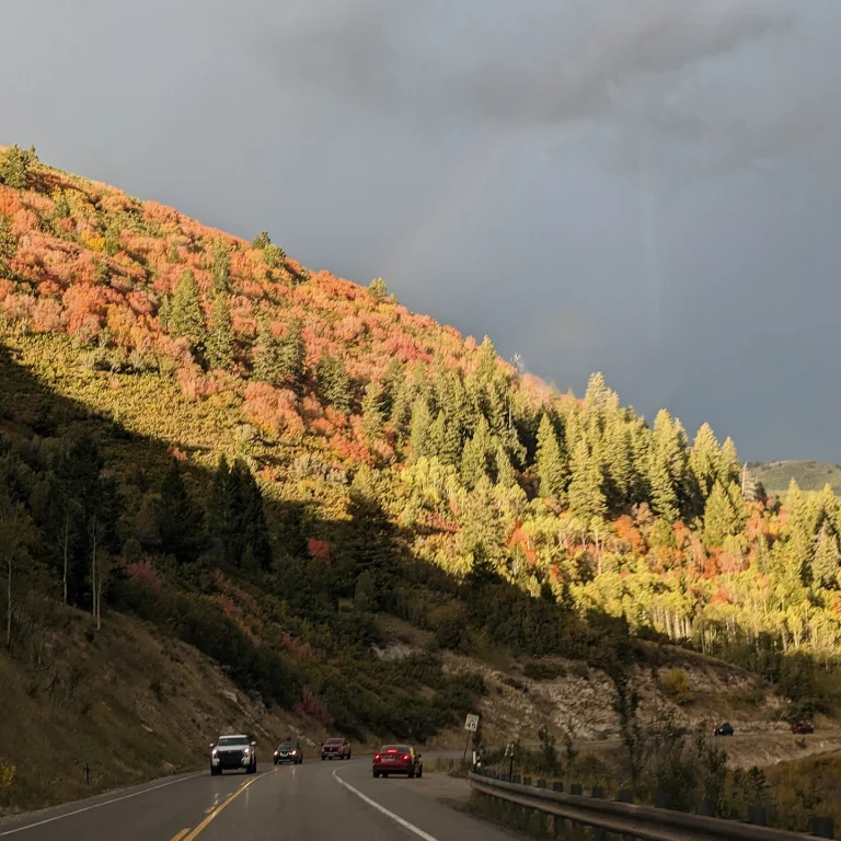 Instagram post from bccflea. This post is in position 5.