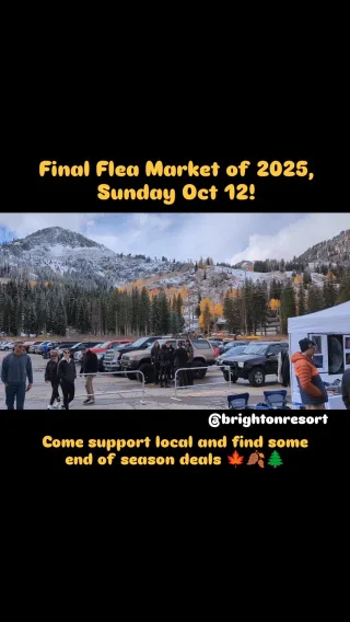 Instagram post from bccflea. This post is in position 2.