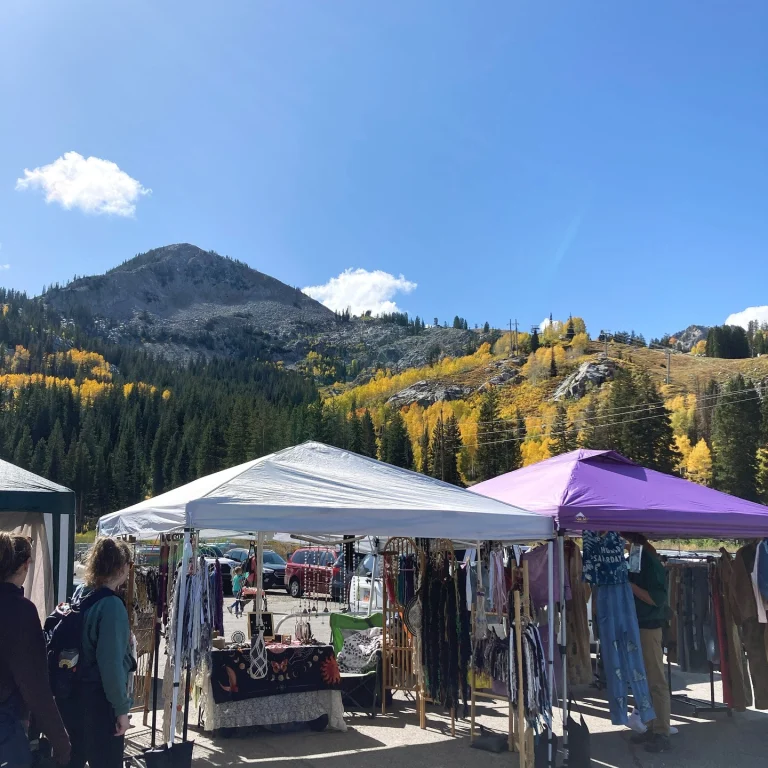 Instagram post from bccflea. This post is in position 6.